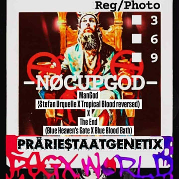 NoCupGod PSGX 9er Packung