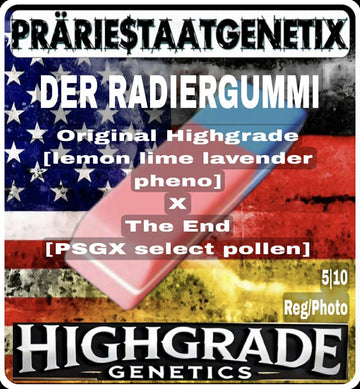 Der Radiergummi PSGX x Highgrade Genetic Limitiert Edition 10er Packung