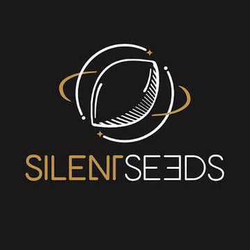Lemon Tree Fast 5er Pack Silentseeds
